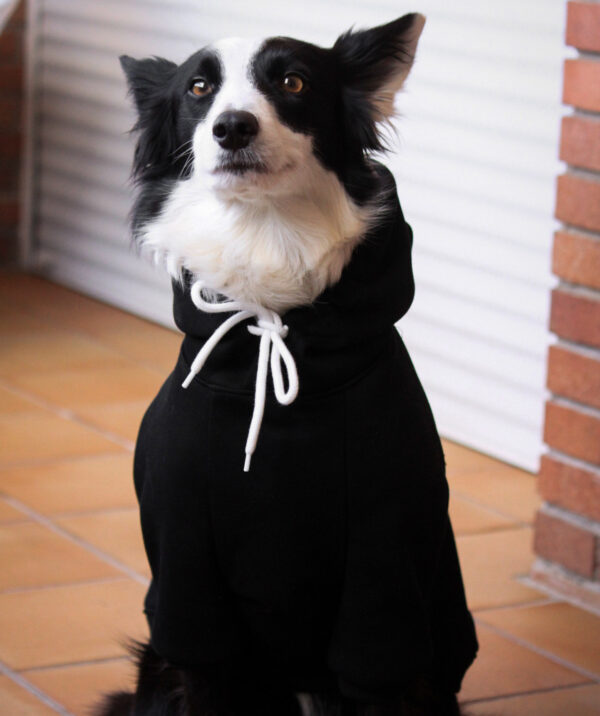 ropa border collie