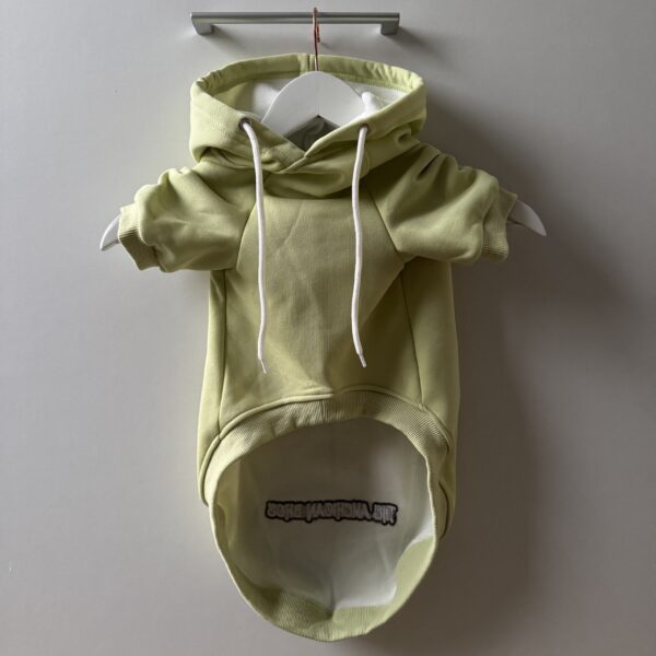 SUDADERA VERDE BÁSICA - Imagen 2