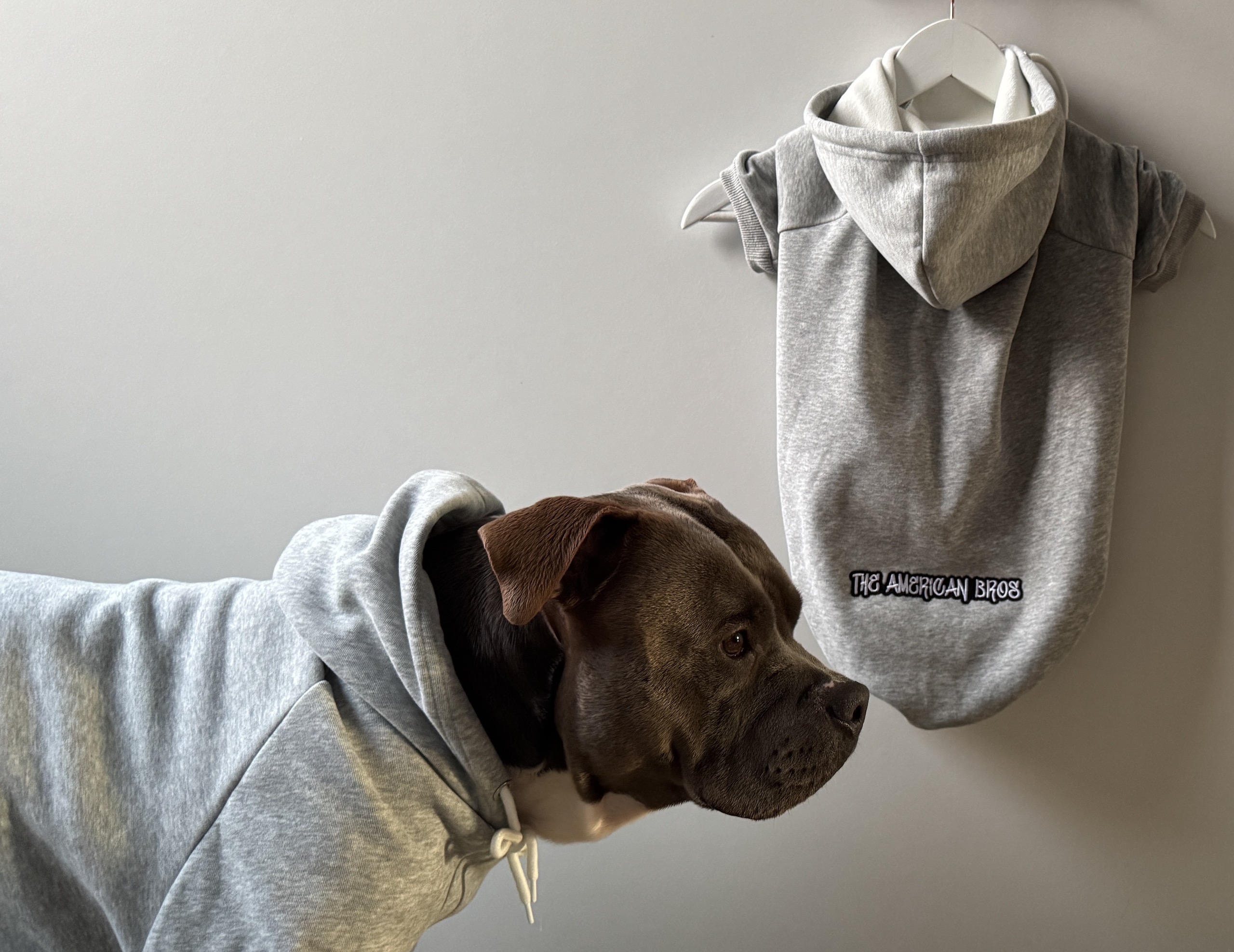 Sudaderas para perros