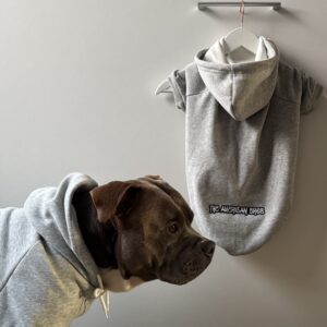 Sudaderas para perros