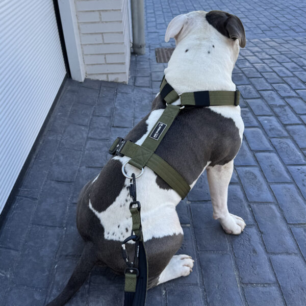 arnes verde para perros grandes