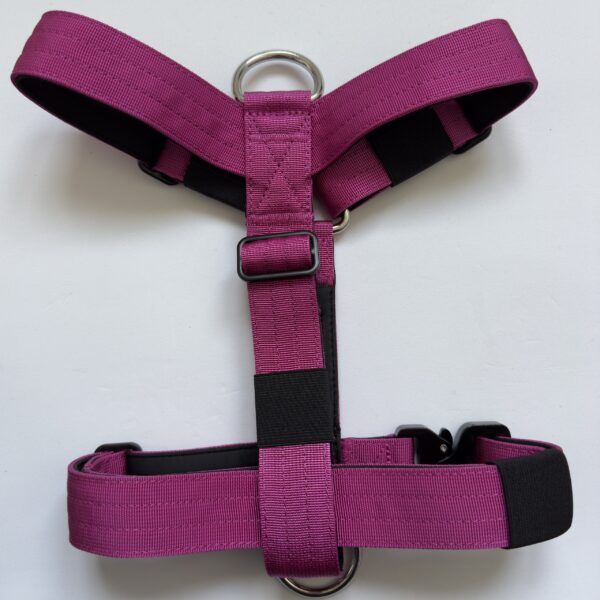 arnés fucsia para perros
