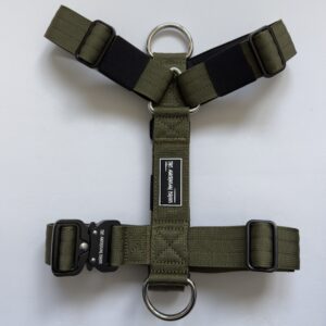 arnés verde para perros