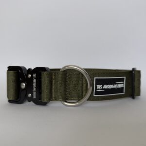 collar verde para perro