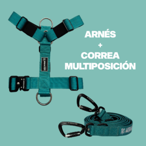 ARNÉS Y CORREA MULTIPOSICIÓN AZUL TURQUESA