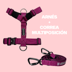 ARNÉS Y CORREA MULTIPOSICIÓN ROSA