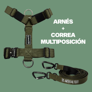 ARNÉS Y CORREA MULTIPOSICIÓN VERDE