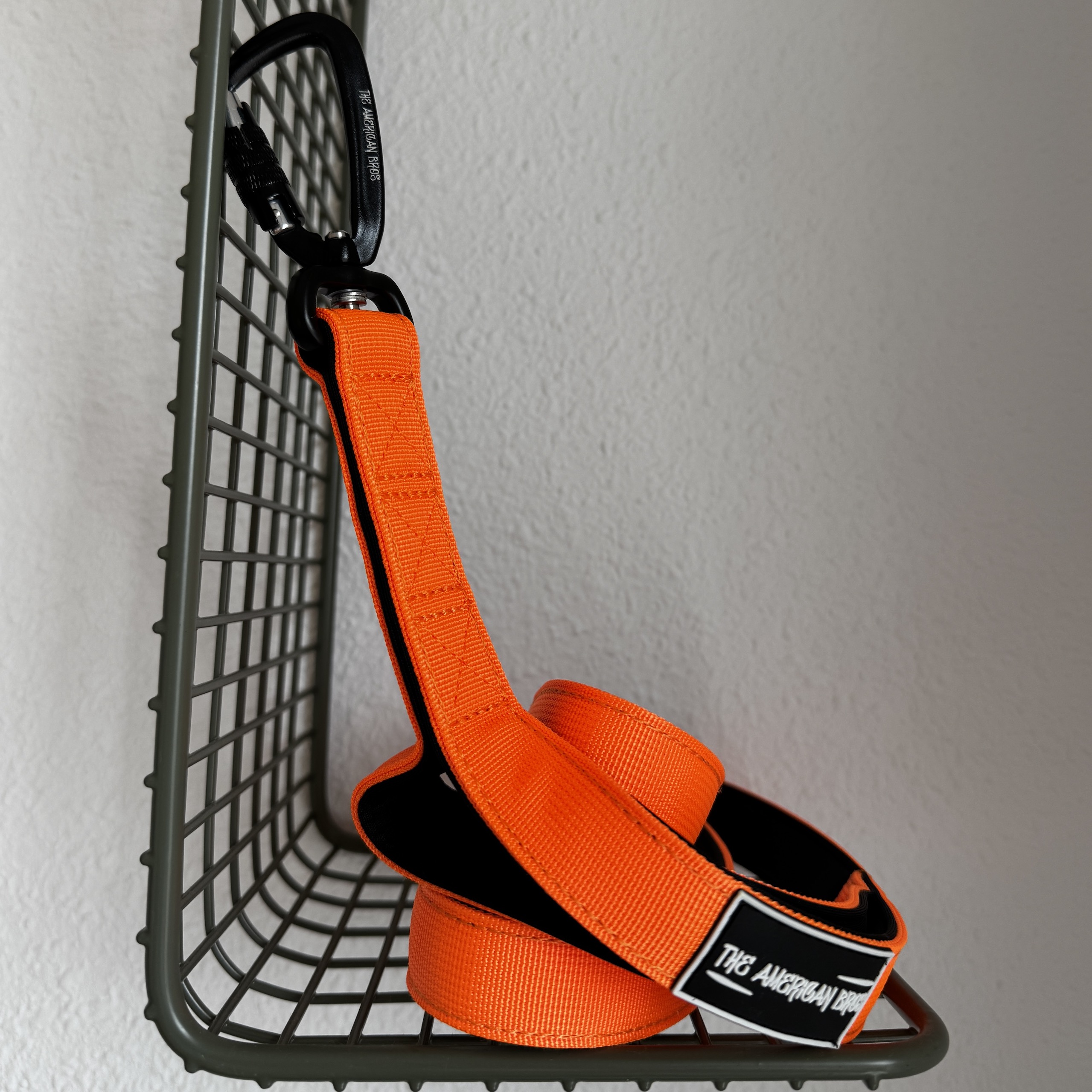 correa naranja para perros