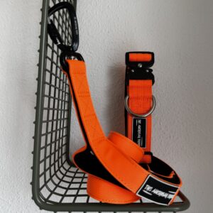 collar y correa naranaja para perros