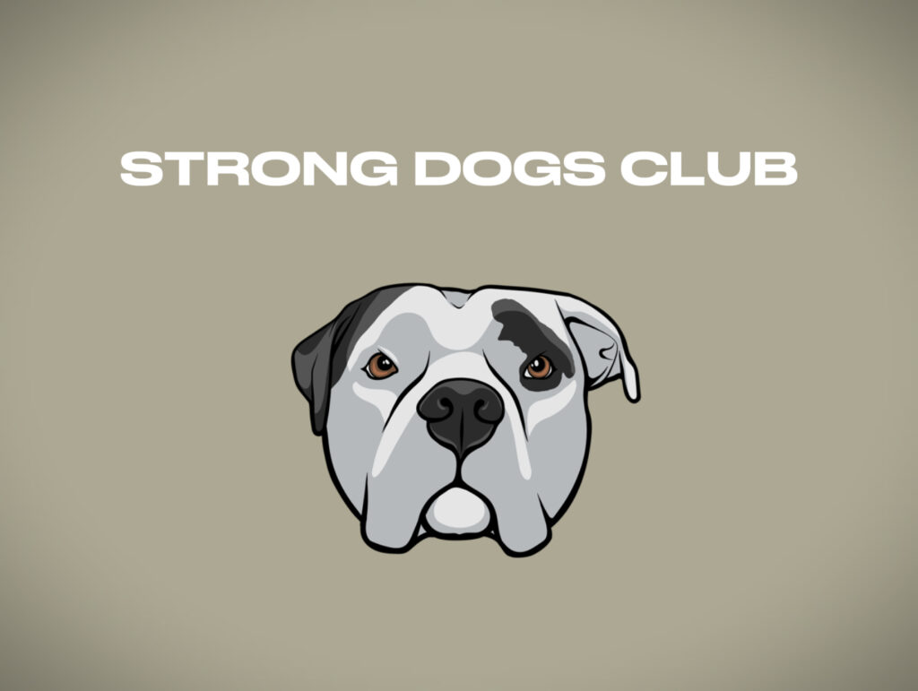 accesorios perros fuertes