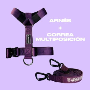 Arnés y correa multiposición morado