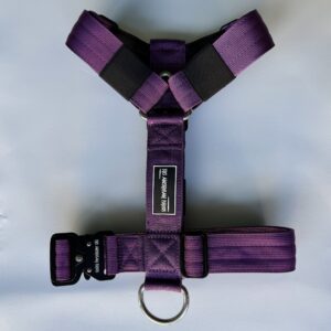 arnés morado para perros