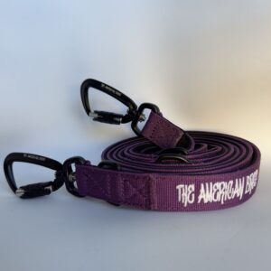 correa multiposición morada para perros