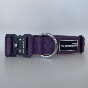 COLLAR MORADO PARA PERROS