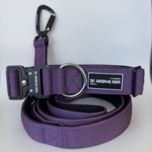 conjunto correa y collar morado para perros
